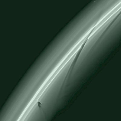 cassini 30