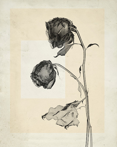 flower.s_06