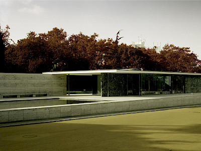 d.p.b. 01