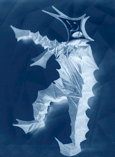 neg◊laviniaschulz_01