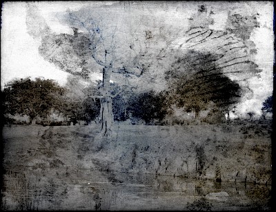 tripe_03 Mysore.Landscape with leafless tree and tank